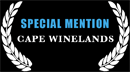 Special Mention, Cape Winelands Film Festival